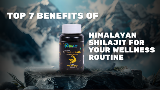 Top 7 Benefits of Himalayan Shilajit for Your Wellness Routine