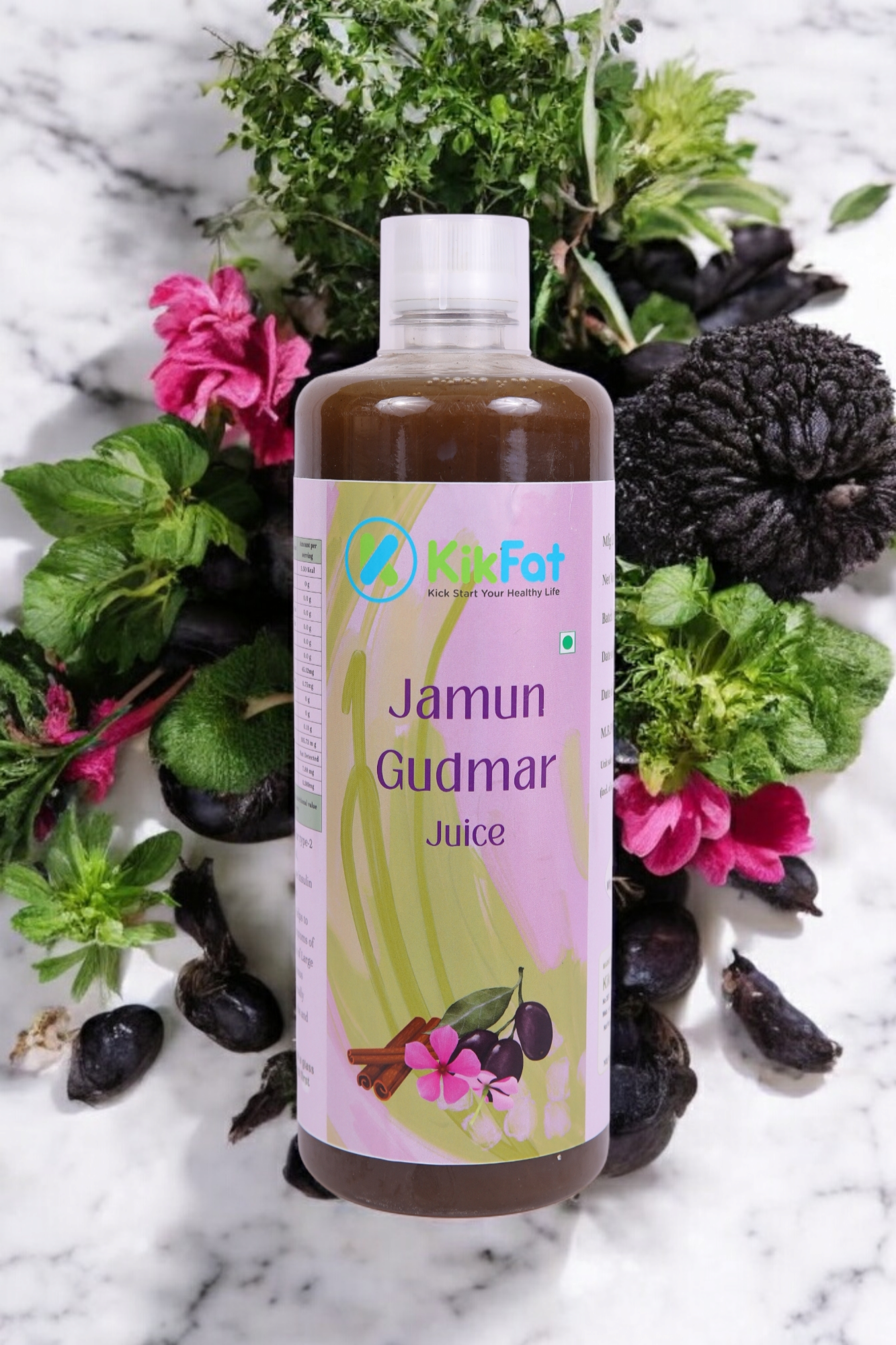 Jamun Gudmar with Sadabahar Juice